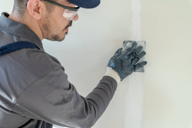 Best Commercial Mold Inspection  in Honey Grove, TX