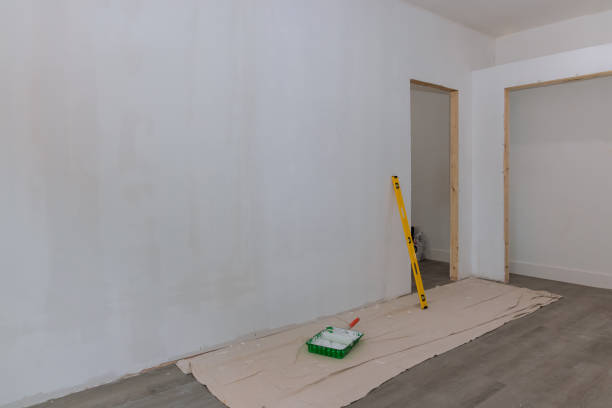 Best Mold Removal for HVAC Installations  in Honey Grove, TX