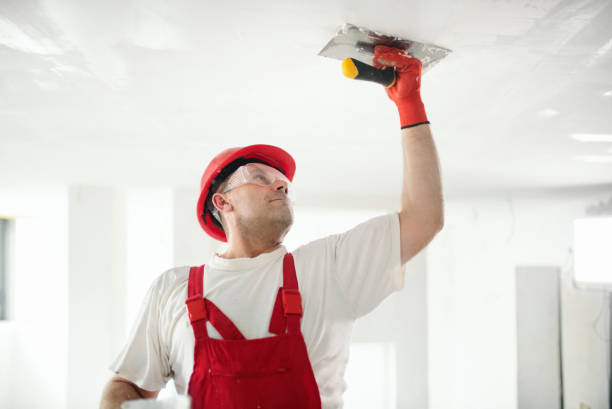 Honey Grove, TX Mold Removal Company